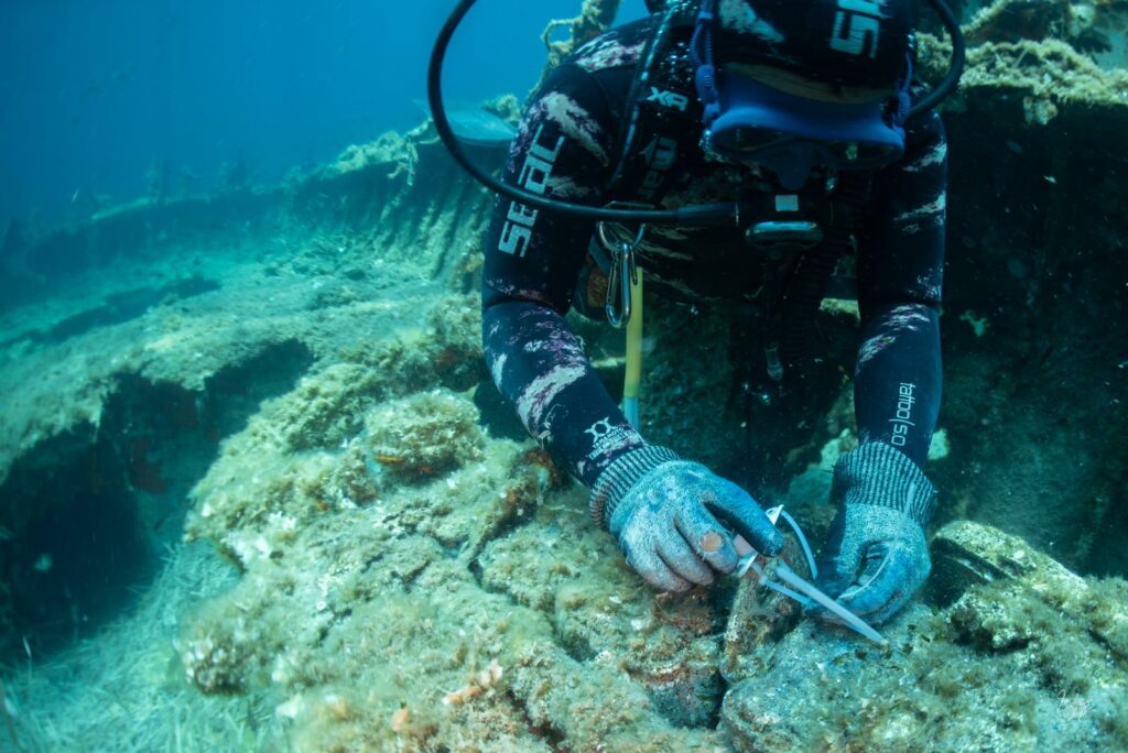 Una fase del posizionamento dei dispositivi sui fondali dell'Isola di San Pietro